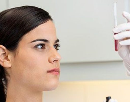 Cómo está formada la sangre