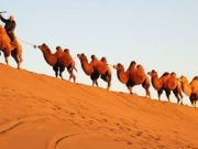 ¿Cómo midieron los griegos la Tierra?