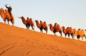 ¿Cómo midieron los griegos la Tierra? Revista Selecciones