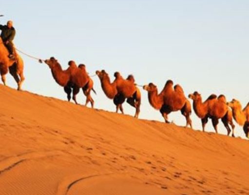 ¿Cómo midieron los griegos la Tierra?