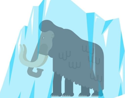 Cómo reconstruir un animal prehistórico