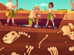 Cómo ser un fósil exitoso