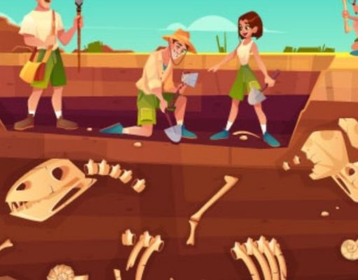 Cómo ser un fósil exitoso