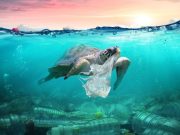 Cómo terminar con el mar de plástico