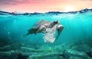 Cómo terminar con el mar de plástico Revista Selecciones