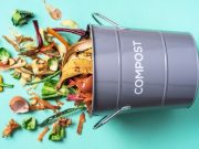 Compost, ¿qué es y cómo hacerlo?