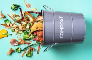 Compost, ¿qué es y cómo hacerlo? Revista Selecciones
