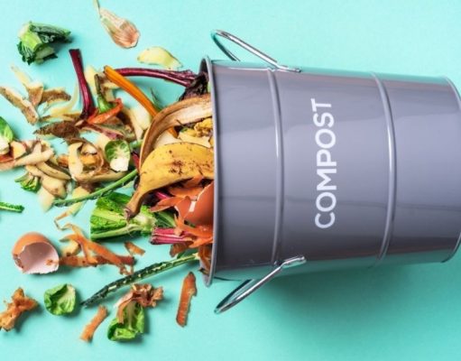 Compost, ¿qué es y cómo hacerlo?