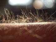 Con los pelos de punta con-los-pelos-de-punta-2304-mainImage-0