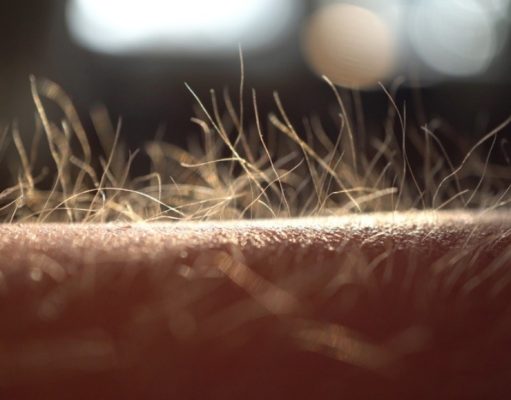 Con los pelos de punta con-los-pelos-de-punta-2304-mainImage-0