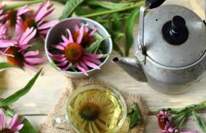 Conocé el poder de lo natural Revista Selecciones