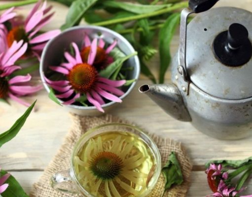 Conocé el poder de lo natural