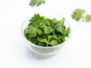 Conocé las propiedades del cilantro o coriandro y cómo cultivarlos