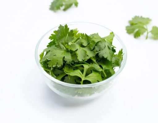 Conocé las propiedades del cilantro o coriandro y cómo cultivarlos