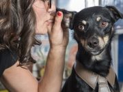 ¿Cuáles son los límites de la locura?