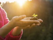 Consejos de expertos para el cuidado del suelo