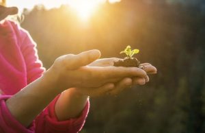 Consejos de expertos para el cuidado del suelo Revista Selecciones