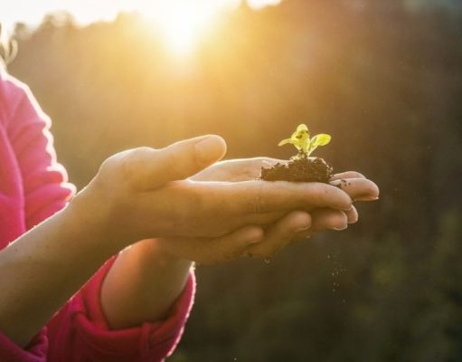 Consejos de expertos para el cuidado del suelo