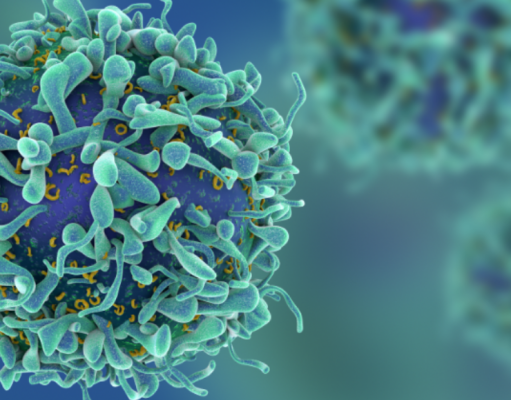 Curar el cáncer con nuestras propias células