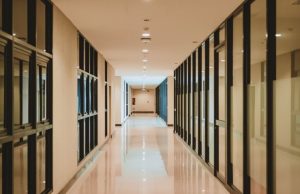 Daños de la luz artificial Revista Selecciones