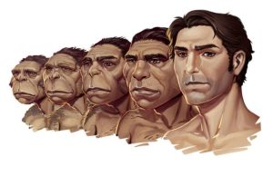 Darwin y la formulación de la teoría de la evolución Revista Selecciones