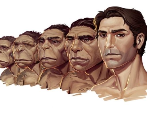 Darwin y la formulación de la teoría de la evolución