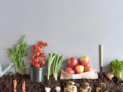 De la huerta a la casa