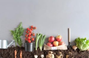 De la huerta a la casa Revista Selecciones