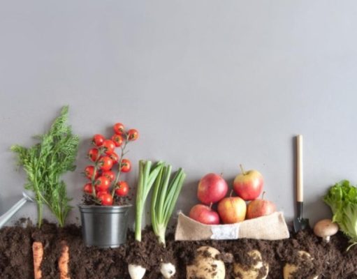 De la huerta a la casa