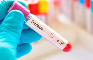 Dengue nunca más Revista Selecciones