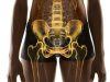 ¿Dolor en la zona genital? Revista Selecciones
