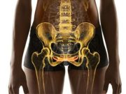 ¿Dolor en la zona genital? Revista Selecciones