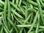 Dos alternativas con chauchas