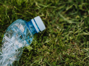 Ecología: no todo es lo que parece