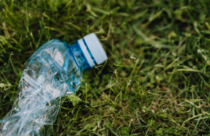 Ecología: no todo es lo que parece Revista Selecciones