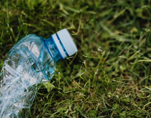 Ecología: no todo es lo que parece