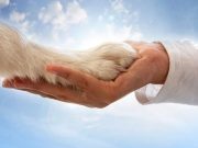 El heroísmo de Oscar