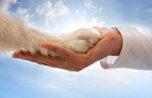 El heroísmo de Oscar Revista Selecciones