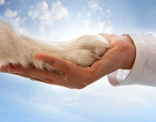 El heroísmo de Oscar