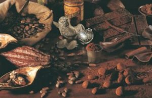 El ingrediente delicioso: CHOCOLATE Revista Selecciones