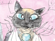 El lado salvaje de mi gato