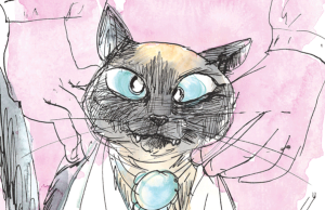 El lado salvaje de mi gato Revista Selecciones