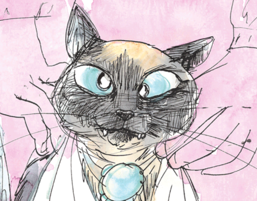 El lado salvaje de mi gato