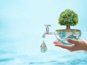 El medio ambiente: una bomba de tiempo