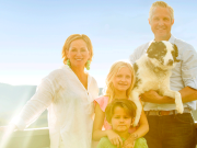 El perro que volvió a casa