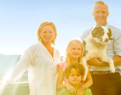 El perro que volvió a casa