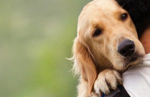 El poder de las mascotas Revista Selecciones