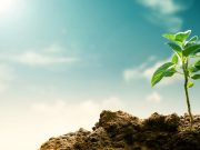 4 consejos para sobrellevar el dolor por la muerte de un ser querido