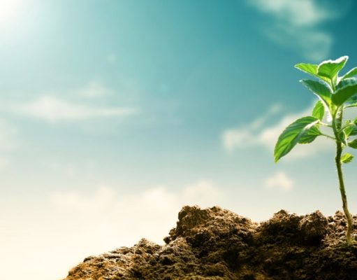 4 consejos para sobrellevar el dolor por la muerte de un ser querido