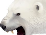 En las garras de un oso polar